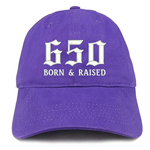 Trendy Apparel Shop 650 Born and Raised San Francisco Embroidered Brushed Cap