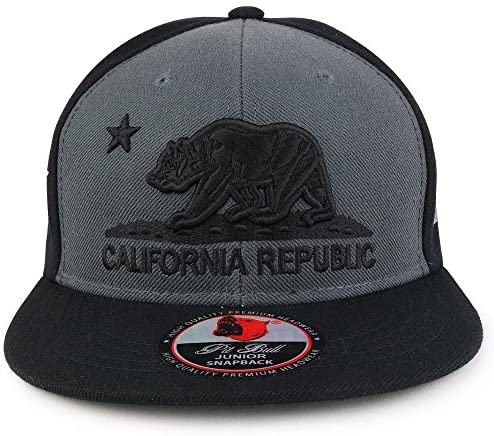 Trendy Apparel Shop Kids 3D Embroidered California Republic Bear Flatbill Snapback Cap