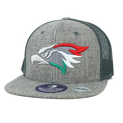 Trendy Apparel Shop Hecho en Mexico Eagle Embroidered Linen Mesh Snapback Cap