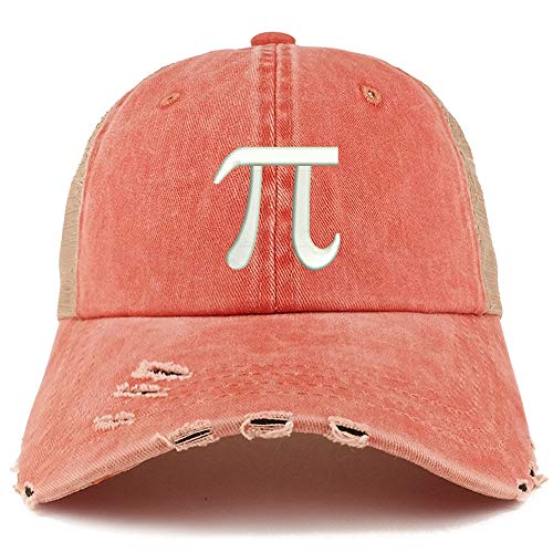 Trendy Apparel Shop Pi Day Symbol Pigment Dyed Front Mesh Back Frayed Bill Cap
