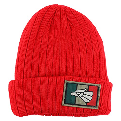Trendy Apparel Shop Hecho En Mexico Eagle Patch Embroidered Long Cuff Beanie