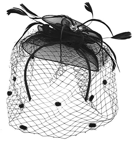 Trendy Apparel Shop Mesh Flower Feathered Swiss Dot Pom Net Fascinator
