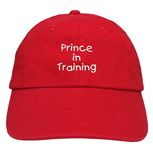 Trendy Apparel Shop Prince in Training Embroidered Youth Size Cotton Baseball Cap