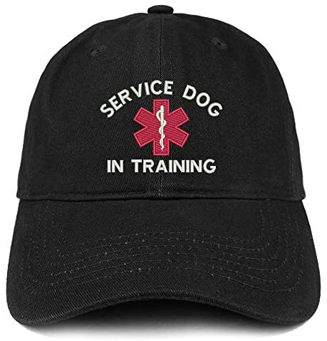 Trendy Apparel Shop Service Dog in Training Medical Symbol Embroidered Brushed Cap