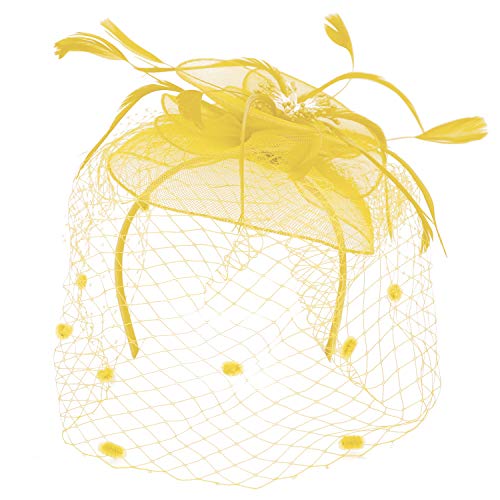 Trendy Apparel Shop Mesh Flower Feathered Swiss Dot Pom Net Fascinator