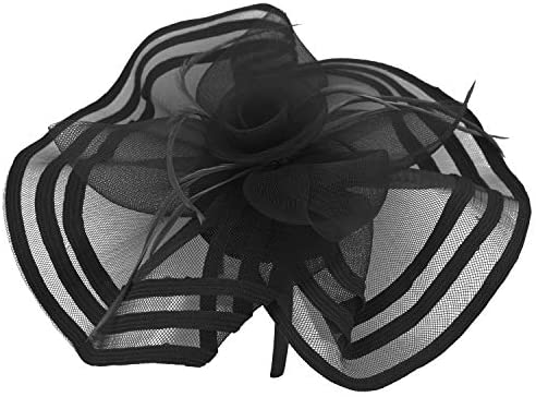 Trendy Apparel Shop Horsehair Feather Trim Flower Fascinator Binded Hem Edge
