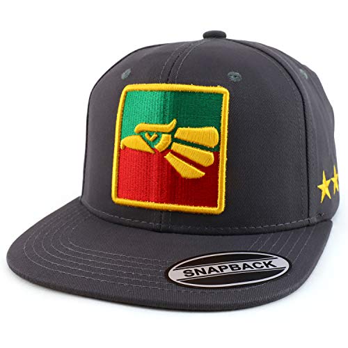 Trendy Apparel Shop Hecho en Mexico Eagle Embroidered Flatbill Snapback Cap