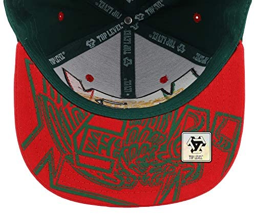 Trendy Apparel Shop Hecho en Mexico Leather Patch Embroidered Flatbill Snapback Cap