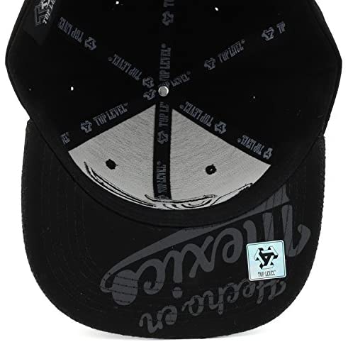 Trendy Apparel Shop Hecho en Mexico Eagle 3D Embroidered Snapback with Flatbill