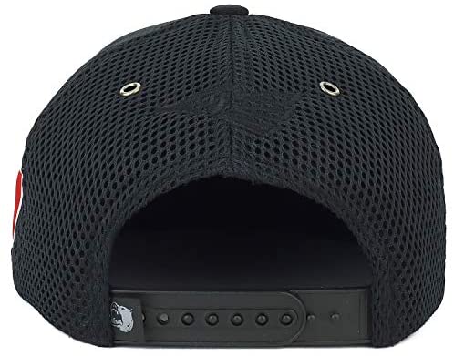 Trendy Apparel Shop Hecho en Mexico Eagle 3D Embroidered Micromesh Snapback Cap