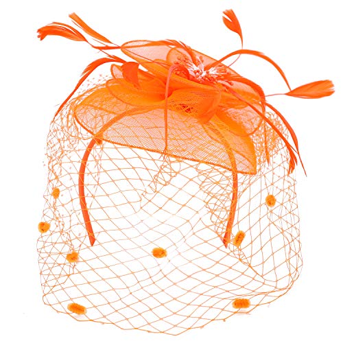 Trendy Apparel Shop Mesh Flower Feathered Swiss Dot Pom Net Fascinator