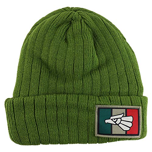 Trendy Apparel Shop Hecho En Mexico Eagle Patch Embroidered Long Cuff Beanie