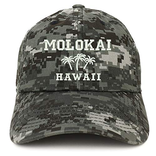 Trendy Apparel Shop Molokai Hawaii and Palm Tree Embroidered Brushed Cap