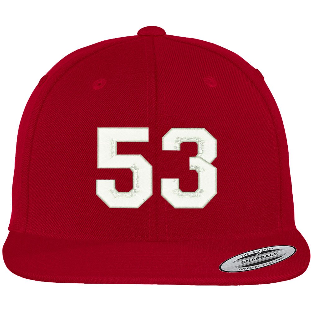 Trendy Apparel Shop Number 53 Collegiate Varsity Font Embroidered Flat Bill Snapback Cap