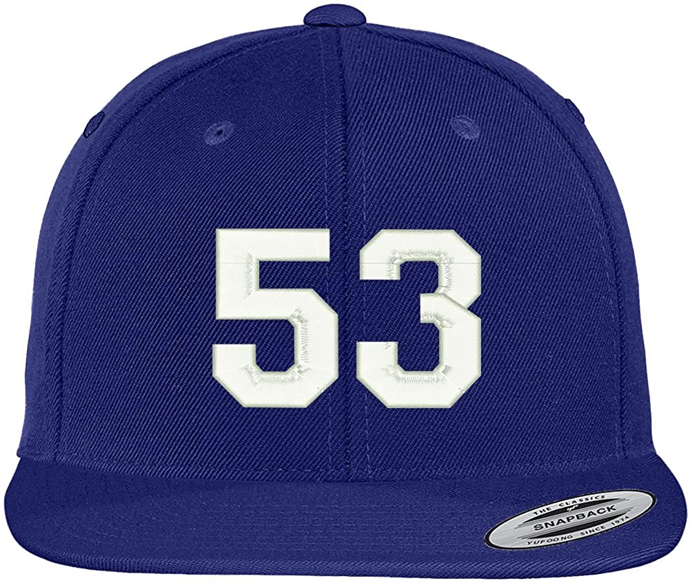 Trendy Apparel Shop Number 53 Collegiate Varsity Font Embroidered Flat Bill Snapback Cap