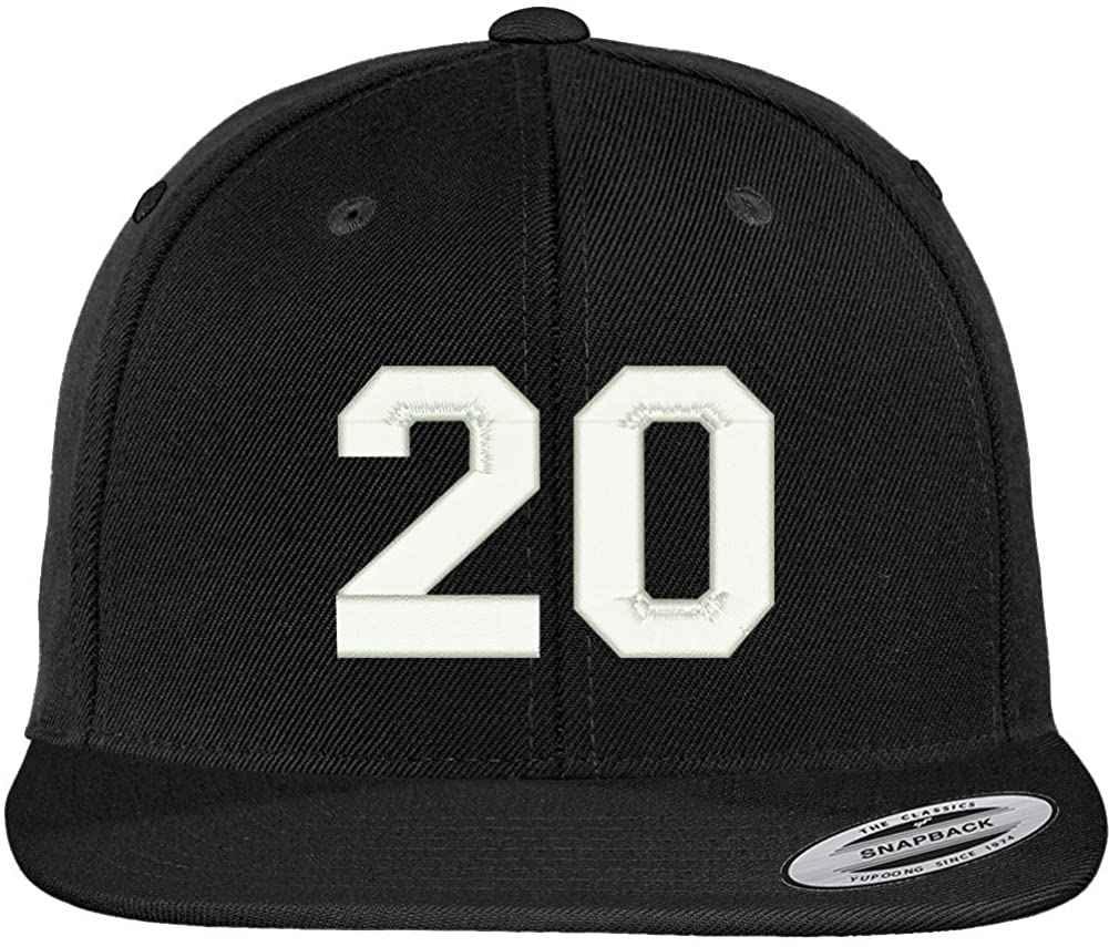 Trendy Apparel Shop Number 20 Collegiate Varsity Font Embroidered Flat Bill Snapback Cap